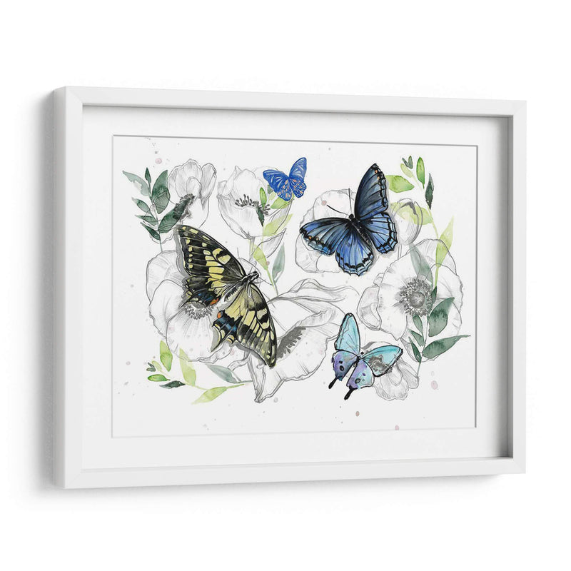 Colección De Mariposa Acuarela A - Jennifer Paxton Parker | Cuadro decorativo de Canvas Lab