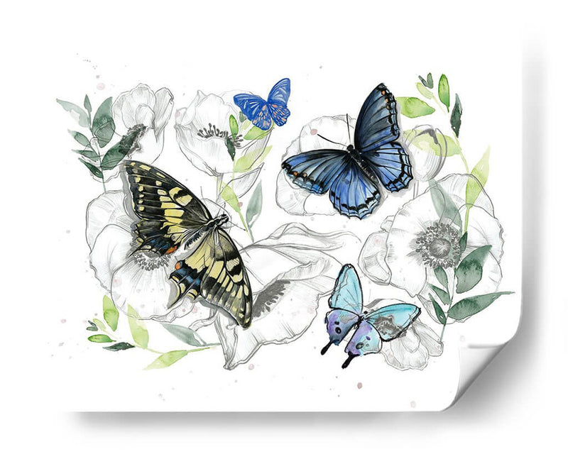 Colección De Mariposa Acuarela A - Jennifer Paxton Parker | Cuadro decorativo de Canvas Lab