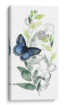 Colección De Mariposa De Acuarela B - Jennifer Paxton Parker | Cuadro decorativo de Canvas Lab