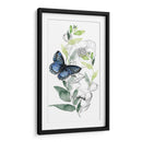 Colección De Mariposa De Acuarela B - Jennifer Paxton Parker | Cuadro decorativo de Canvas Lab