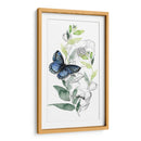 Colección De Mariposa De Acuarela B - Jennifer Paxton Parker | Cuadro decorativo de Canvas Lab