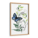 Colección De Mariposa De Acuarela B - Jennifer Paxton Parker | Cuadro decorativo de Canvas Lab