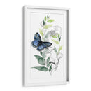 Colección De Mariposa De Acuarela B - Jennifer Paxton Parker | Cuadro decorativo de Canvas Lab