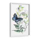 Colección De Mariposa De Acuarela B - Jennifer Paxton Parker | Cuadro decorativo de Canvas Lab