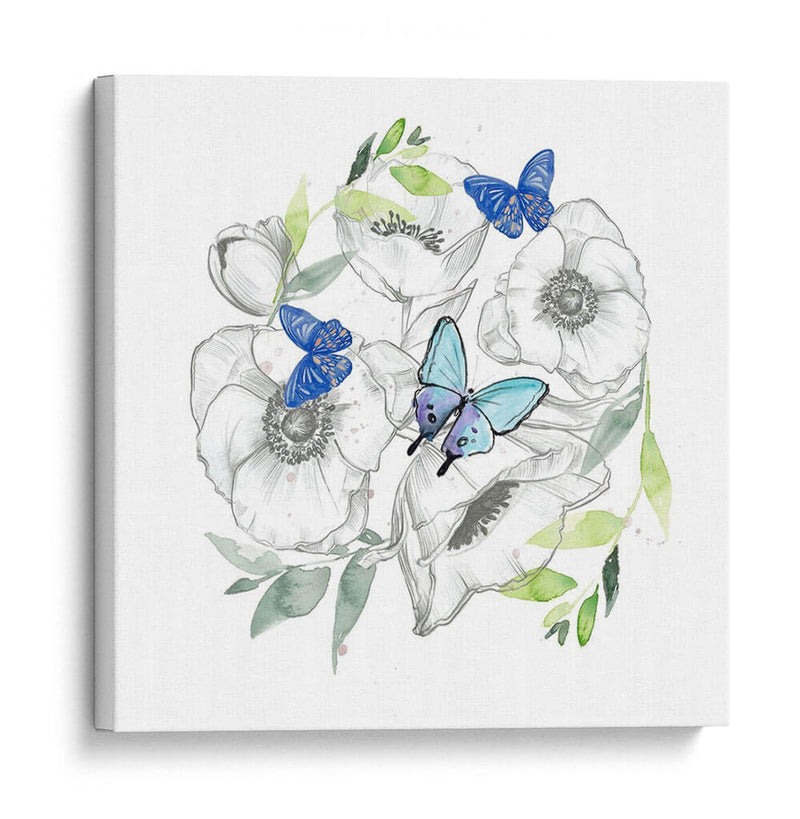 Acuarela Colección De Mariposa C - Jennifer Paxton Parker | Cuadro decorativo de Canvas Lab