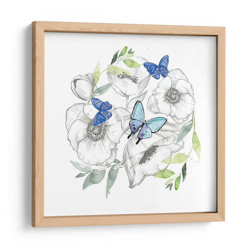 Acuarela Colección De Mariposa C - Jennifer Paxton Parker | Cuadro decorativo de Canvas Lab