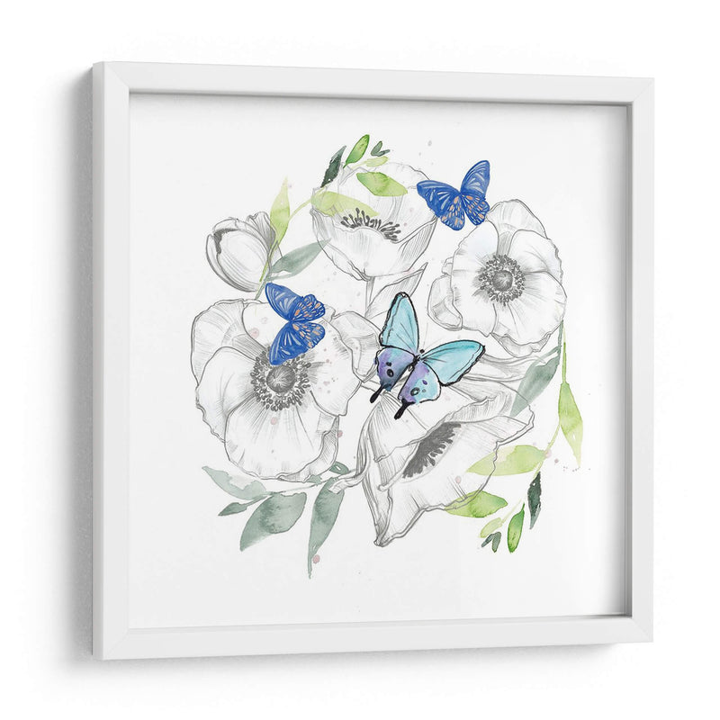 Acuarela Colección De Mariposa C - Jennifer Paxton Parker | Cuadro decorativo de Canvas Lab