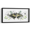 Colección De Mariposa Acuarela D - Jennifer Paxton Parker | Cuadro decorativo de Canvas Lab
