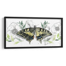 Colección De Mariposa Acuarela D - Jennifer Paxton Parker | Cuadro decorativo de Canvas Lab