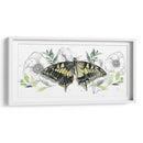 Colección De Mariposa Acuarela D - Jennifer Paxton Parker | Cuadro decorativo de Canvas Lab