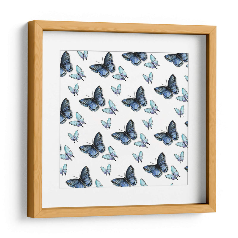 Colección De Mariposa Acuarela H - Jennifer Paxton Parker | Cuadro decorativo de Canvas Lab