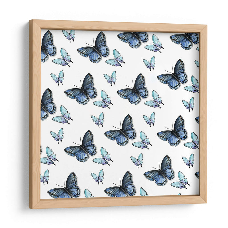 Colección De Mariposa Acuarela H - Jennifer Paxton Parker | Cuadro decorativo de Canvas Lab