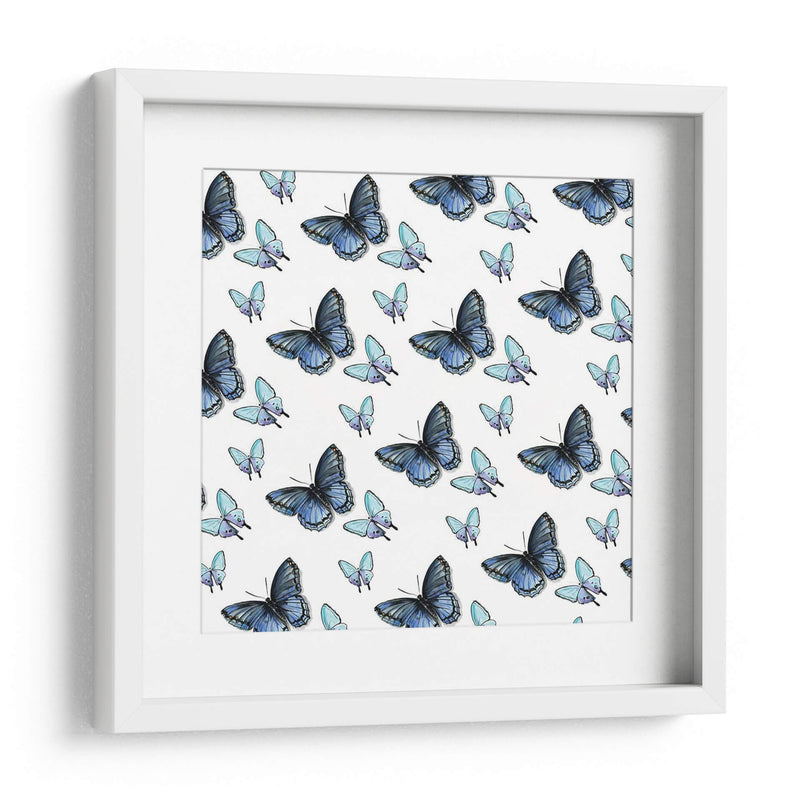 Colección De Mariposa Acuarela H - Jennifer Paxton Parker | Cuadro decorativo de Canvas Lab