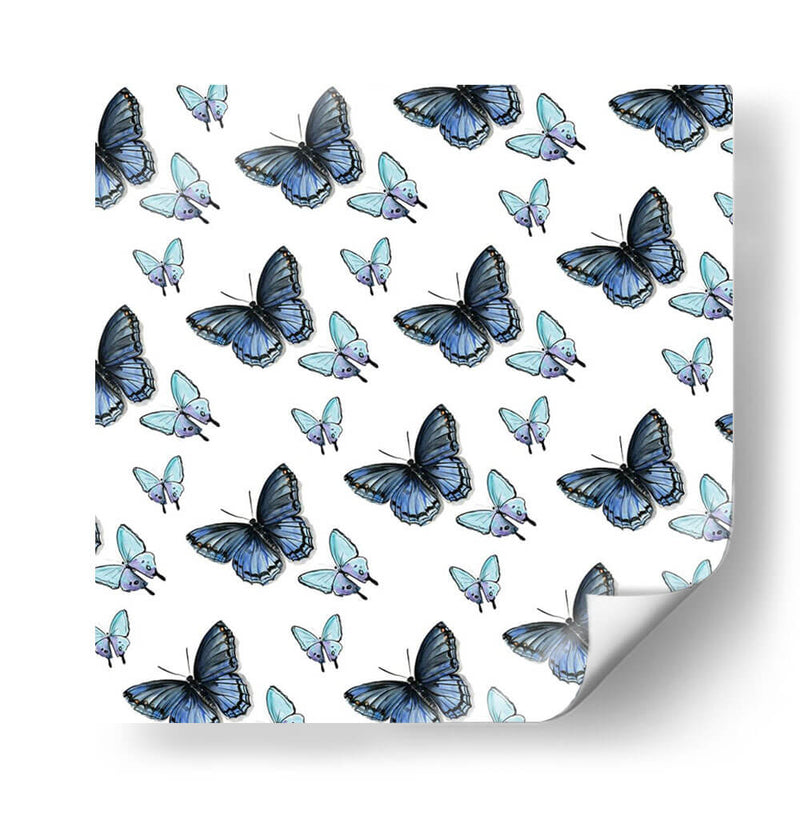 Colección De Mariposa Acuarela H - Jennifer Paxton Parker | Cuadro decorativo de Canvas Lab