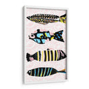 Capri Collection B - Stephen Switzer | Cuadro decorativo de Canvas Lab