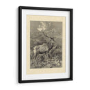 Vintage Roe Deer Ii - Friedrich Specht | Cuadro decorativo de Canvas Lab