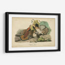 Audubon Ruffed Grouse - John James Audubon | Cuadro decorativo de Canvas Lab