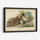 Audubon Ruffed Grouse - John James Audubon | Cuadro decorativo de Canvas Lab