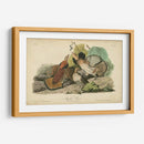 Audubon Ruffed Grouse - John James Audubon | Cuadro decorativo de Canvas Lab