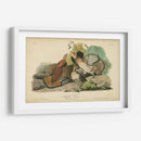 Audubon Ruffed Grouse - John James Audubon | Cuadro decorativo de Canvas Lab