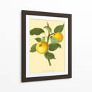 La Manzana De Grange | Cuadro decorativo de Canvas Lab