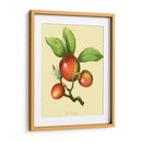 La Caja De Madera | Cuadro decorativo de Canvas Lab