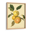 El Elliot Amarillo | Cuadro decorativo de Canvas Lab