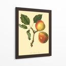 La Pera De Longland | Cuadro decorativo de Canvas Lab