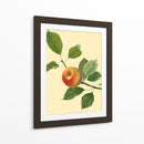 El Pippin Naranja | Cuadro decorativo de Canvas Lab