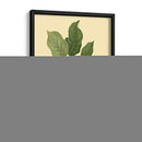 La Pera De Teinton Squash | Cuadro decorativo de Canvas Lab