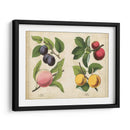 Frutas De La Cocina I | Cuadro decorativo de Canvas Lab