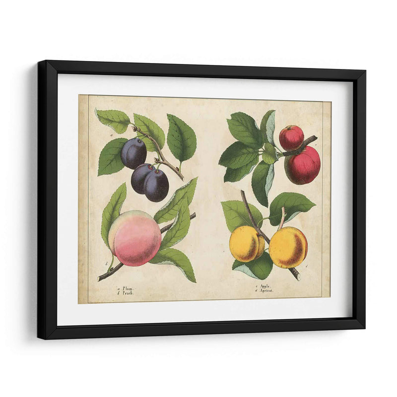 Frutas De La Cocina I | Cuadro decorativo de Canvas Lab