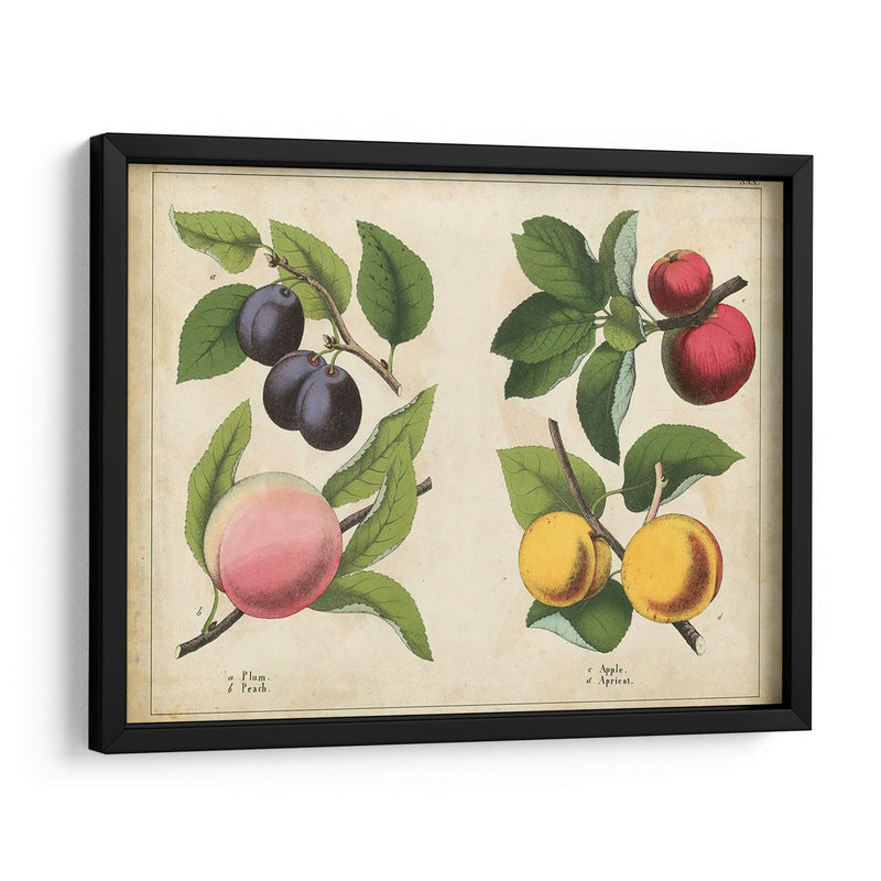 Frutas De La Cocina I | Cuadro decorativo de Canvas Lab