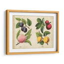 Frutas De La Cocina I | Cuadro decorativo de Canvas Lab