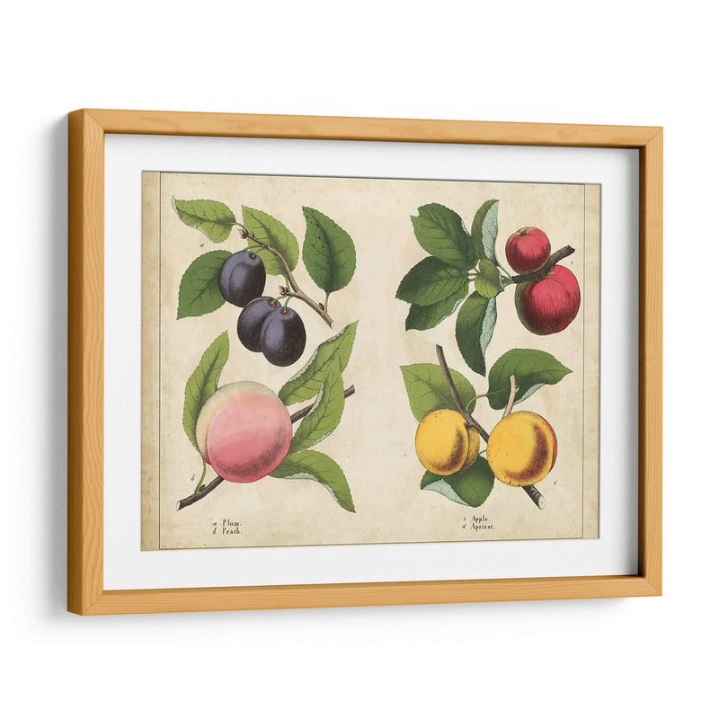 Frutas De La Cocina I | Cuadro decorativo de Canvas Lab