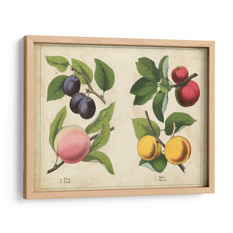 Frutas De La Cocina I | Cuadro decorativo de Canvas Lab