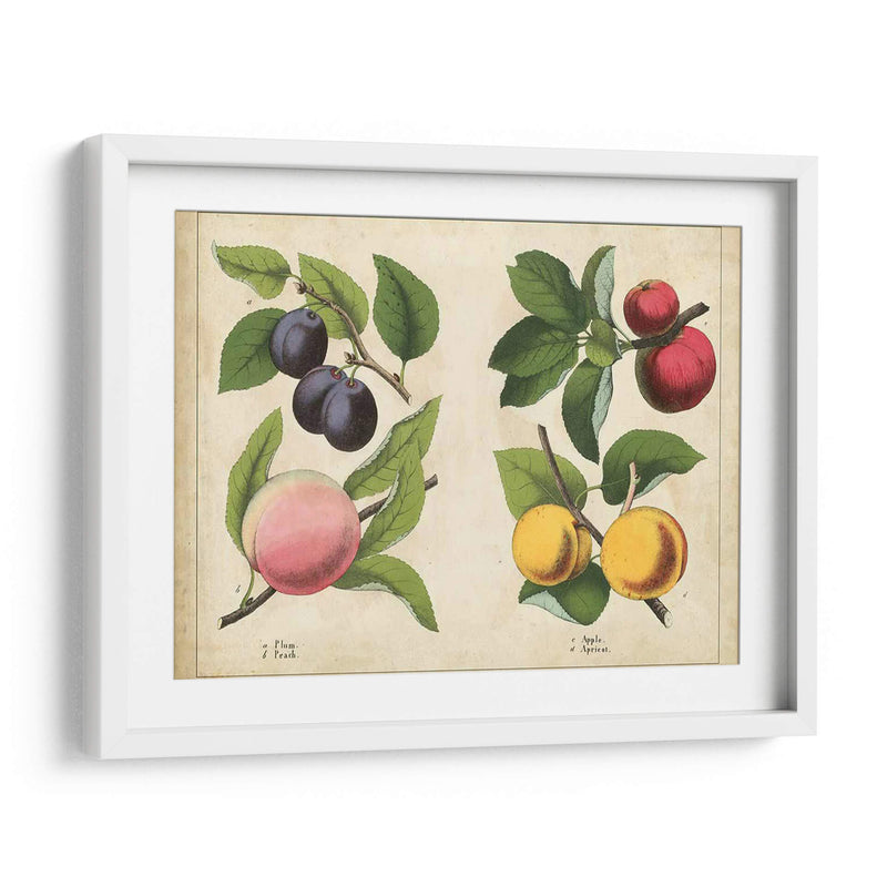 Frutas De La Cocina I | Cuadro decorativo de Canvas Lab