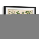 Frutas De La Cocina Ii | Cuadro decorativo de Canvas Lab