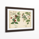 Frutas De La Cocina Ii | Cuadro decorativo de Canvas Lab