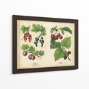 Frutas De La Cocina Iii | Cuadro decorativo de Canvas Lab