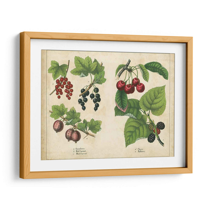 Frutas De La Cocina Iii | Cuadro decorativo de Canvas Lab