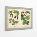 Frutas De La Cocina Iii | Cuadro decorativo de Canvas Lab