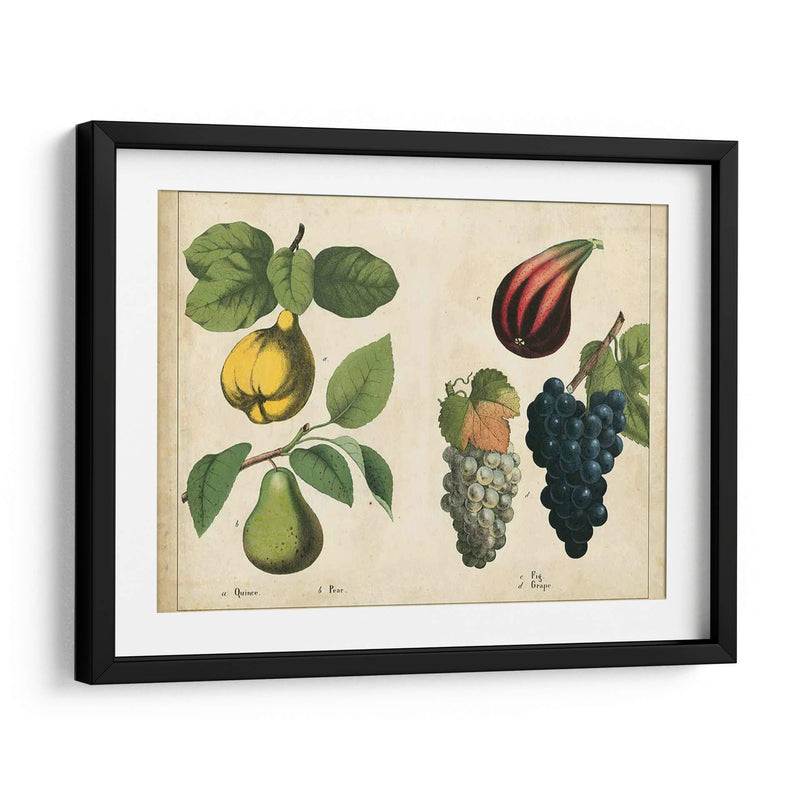 Frutas De La Cocina Iv | Cuadro decorativo de Canvas Lab