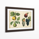 Frutas De La Cocina Iv | Cuadro decorativo de Canvas Lab