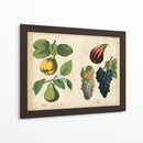 Frutas De La Cocina Iv | Cuadro decorativo de Canvas Lab