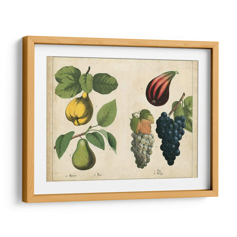 Frutas De La Cocina Iv | Cuadro decorativo de Canvas Lab