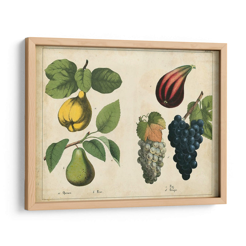 Frutas De La Cocina Iv | Cuadro decorativo de Canvas Lab