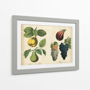 Frutas De La Cocina Iv | Cuadro decorativo de Canvas Lab