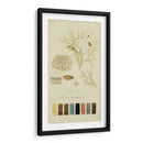 Especies De Liquen Iv | Cuadro decorativo de Canvas Lab