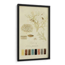 Especies De Liquen Iv | Cuadro decorativo de Canvas Lab